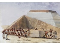 HISTÓRIA DA PALETE